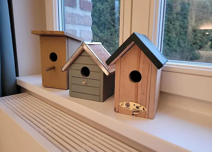 Couette-café Les Chanterolles Chaumont-Gistoux