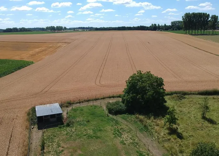Couette-café Les Chanterolles Chaumont-Gistoux